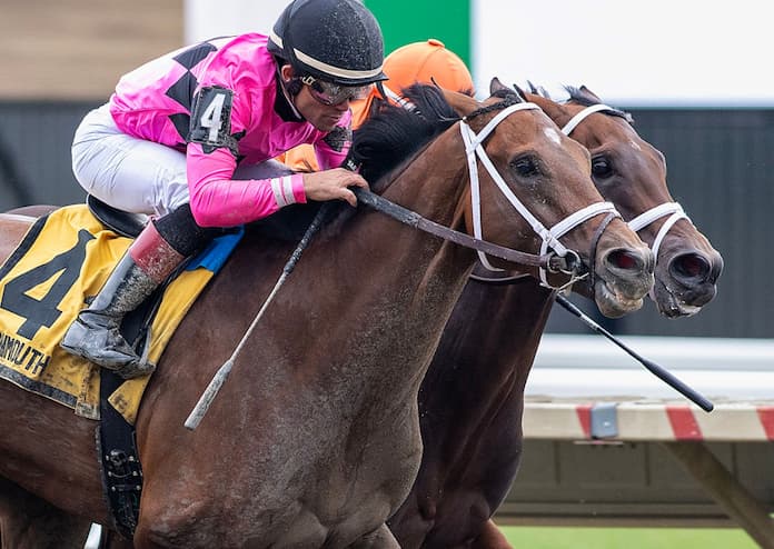 2023 Haskell Stakes Picks & Trifecta Best Bet: Salute The Stars To Shine For Cox