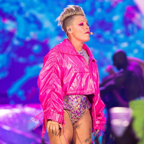 Pink fan throws late mother’s ashes on stage