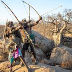 Study reveals extensive gut microbe diversity of Hadza hunter-gatherers