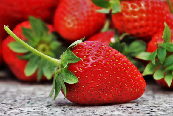 Study: Strawberry Consumption Improves Cognitive Function and Cardiovascular Health in Older Adults