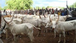 Health Scare: Lagos State Confirms Six Cases Of Anthrax Disease