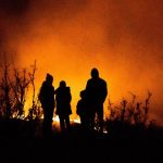 Northern Hemisphere Summer Plagued by Heatwaves, Wildfires: WMO | Mirage News