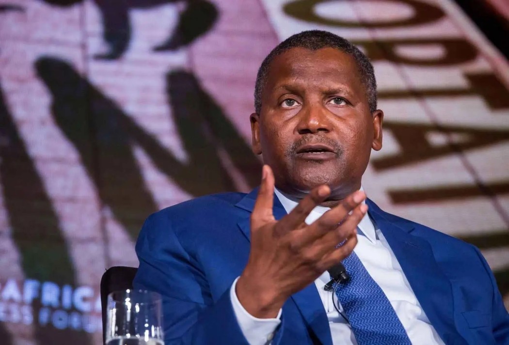 5 Investments African Billionaires Make that You Know Nothing About