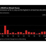 Five Key Charts to Watch in Global Commodity Markets This Week