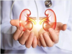 Foods That Can Damage Your Kidney If Consumed On A Regular Basis