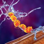 Unprecedented blood biomarker enables ALS drug approval