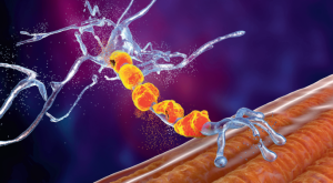 Unprecedented blood biomarker enables ALS drug approval