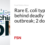 Rare E. coli type behind deadly UK outbreak;  2 dozen sick