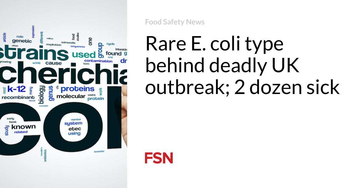 Rare E. coli type behind deadly UK outbreak;  2 dozen sick