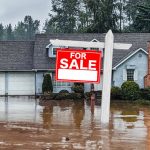 The Human Cost: ‘It was so traumatic to see the destruction’: More Americans are moving to flood-prone areas. Why do they defy the warnings?