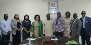 Osafo-Maafo nominated to represent Akufo-Addo on AUDA–NEPAD committee