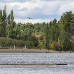 Public Health lifts algae advisory at Vancouver Lake after water quality improves