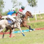 2023  Argungu Polo Tournament, Cultural Festival  To Hold September 7