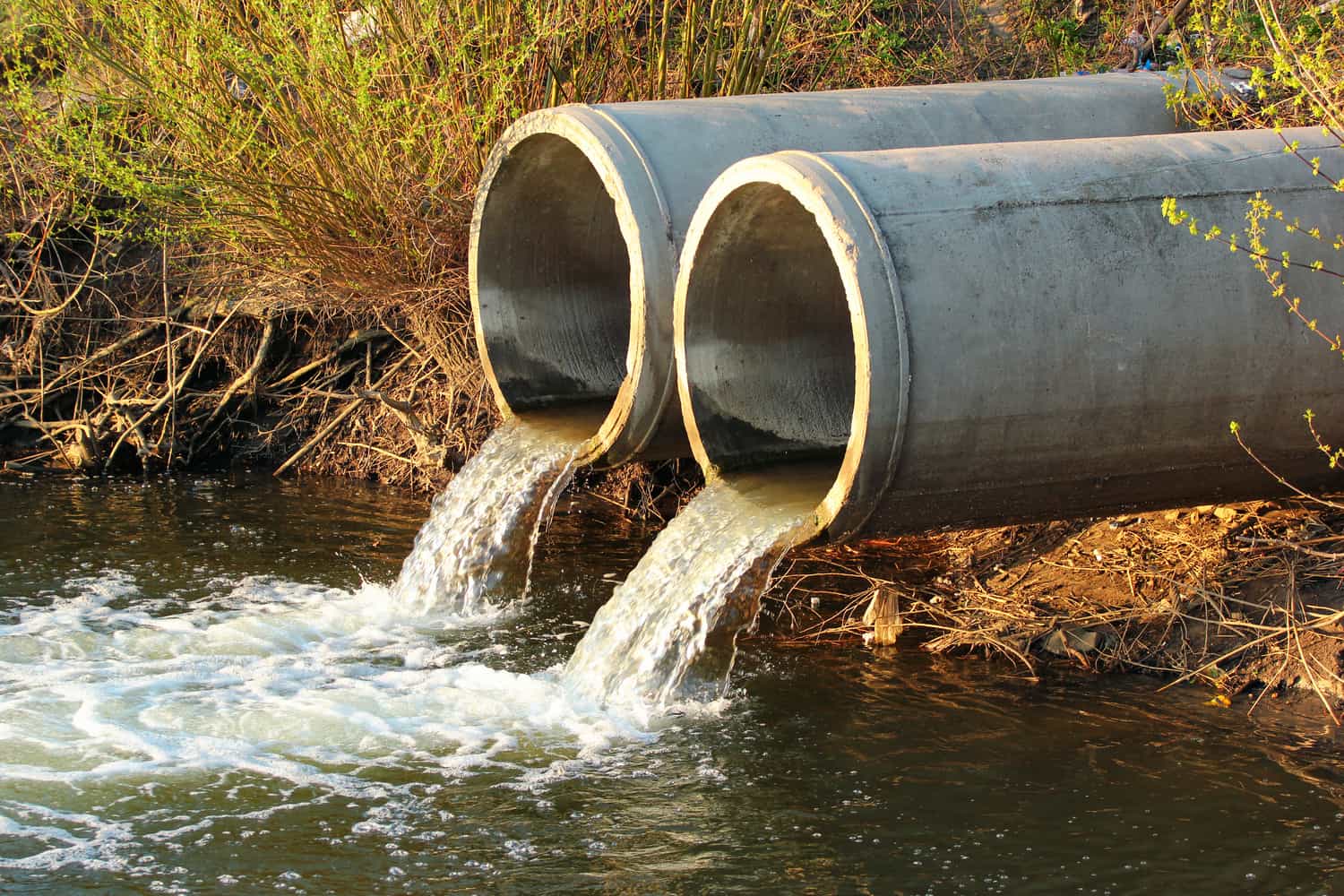 Five ways to start fixing SA’s deteriorating water