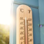 Do’s and Don’ts for Gardening in a Heat Wave