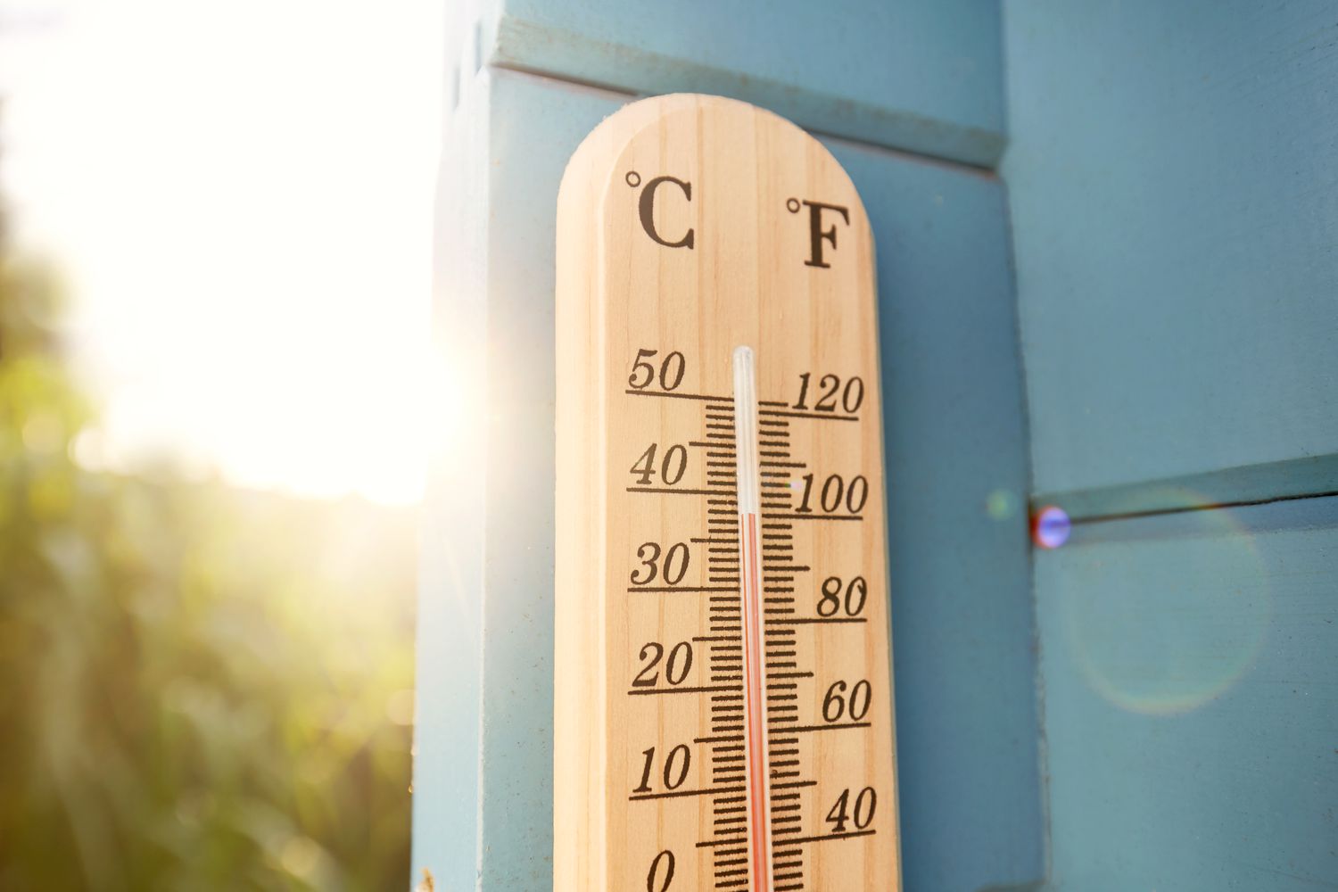 Do’s and Don’ts for Gardening in a Heat Wave