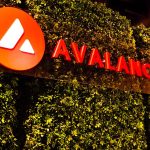 Avalanche Blockchain Usage Grew in Second Quarter: Nansen