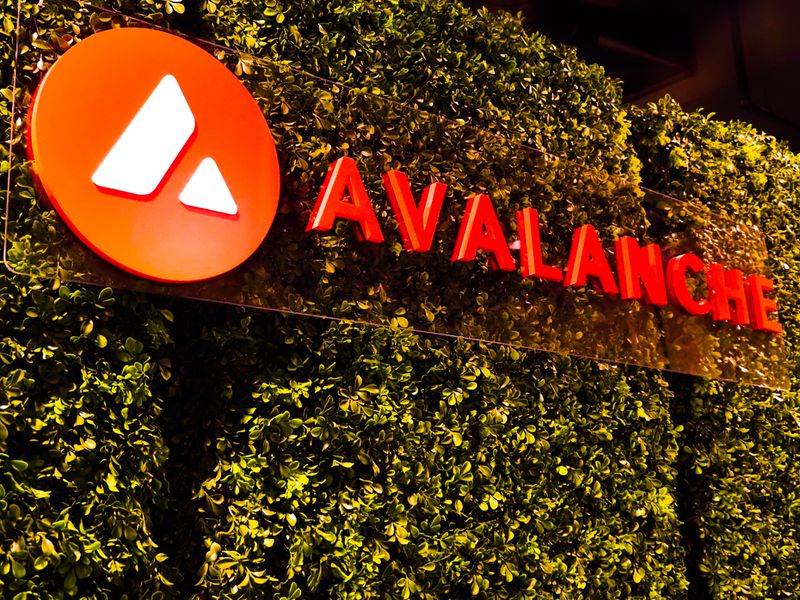 Avalanche Blockchain Usage Grew in Second Quarter: Nansen