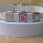 Ritani and HEMINCUFF Partner to Launch Luxury Vegan Faux Crocodile Leather Lab Diamond Dog Collar