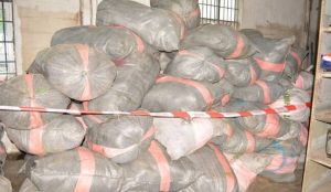 Nigerian Navy intercepts 10,000kg cannabis in Lagos 