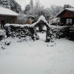 SNOW, rain, and cold expected TODAY: Send us your PHOTOS