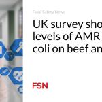 UK survey shows low levels of AMR in E. coli on beef and pork