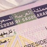 Saudi Arabia Has Launched ‘Visiting Investor’ E-visa, Here’s How to Apply!