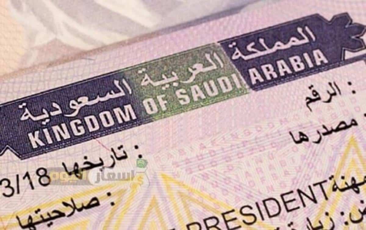 Saudi Arabia Has Launched ‘Visiting Investor’ E-visa, Here’s How to Apply!