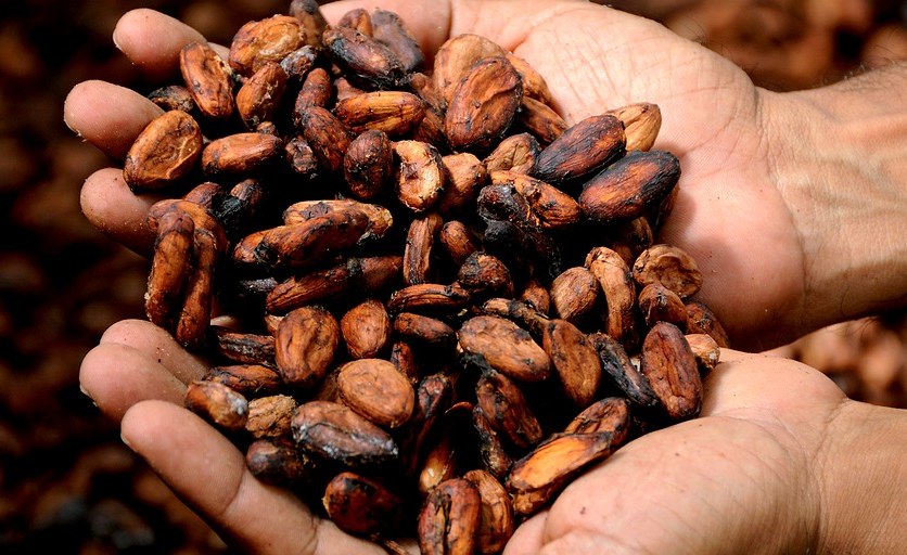 West Africa: Separatists Torch Trucks of Cocoa As Farmers Protest Ban on Exports to Nigeria