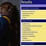 “Pablo’s Kid”: Terrible WAEC Result of Nigerian Boy with 6 F9s Makes Waves Online, People React