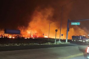 Maui Wildfires Take Down 911 As Hospitals Overrun