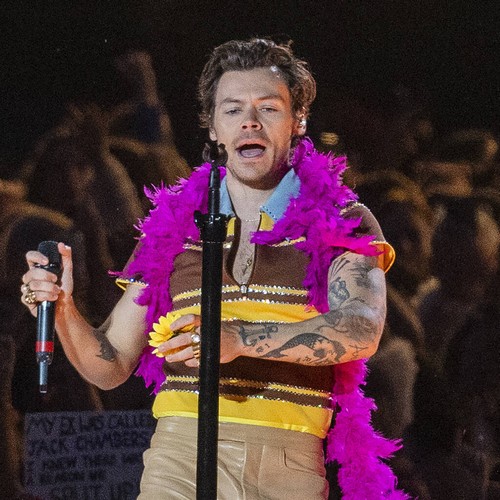 Harry Styles ‘hit in the face by object’ during concert in Vienna