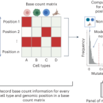 De novo detection of somatic mutations in high-throughput single-cell profiling data sets