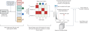 De novo detection of somatic mutations in high-throughput single-cell profiling data sets