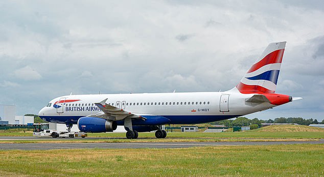 British Airways captain is held at gunpoint and stabbed while going for a run inÂ SouthÂ Africa