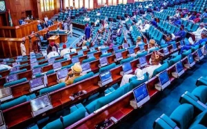 Reps Move to Take Back Ceded Bakasi Land From Cameroon