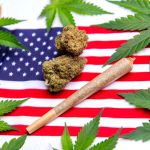 Gallup Poll Shows Half Of Americans Have Tried Marijuana