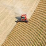 Spatial Data Makes AI Crop Yield Predictions Better