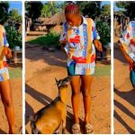 “Your bestie is pregnant” – Lady causes a stir as she pampers her pregnant goat (Video)