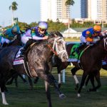 Top 15 Pegasus World Cup Winners