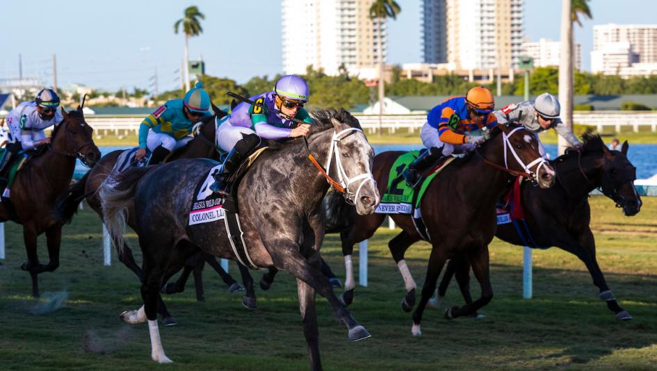 Top 15 Pegasus World Cup Winners