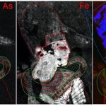 Chemical imaging technology reveals hidden details in Egyptian paintings