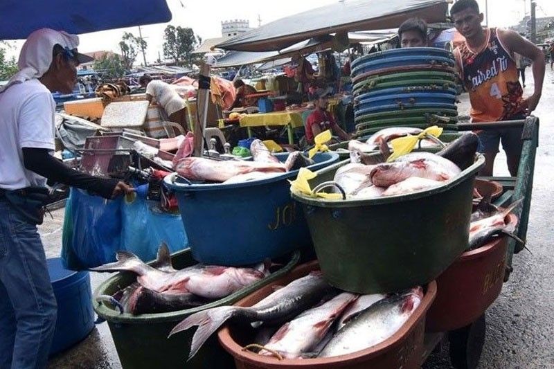 35,000 metric tons fish imports OK’d for Q4