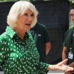 Queen Camilla ‘rarely deviates’ from shirt dresses but should ‘try more bold colours’