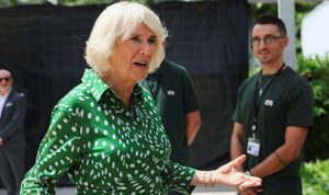 Queen Camilla ‘rarely deviates’ from shirt dresses but should ‘try more bold colours’