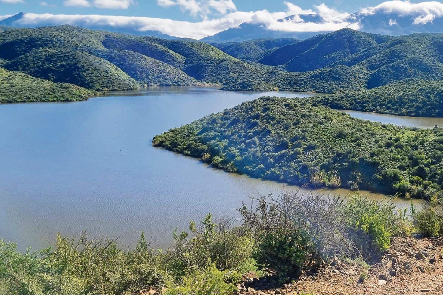 Western Cape’s Sweet and succulent Calitzdorp