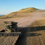 Investor pressure group urges G20 to reform agricultural subsidies