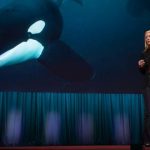 Could an orca give a TED Talk? | Karen Bakker