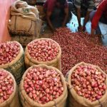 Onion auction to remain closed indefinitely in Nashik wholesale markets to protest 40% duty on export: Traders