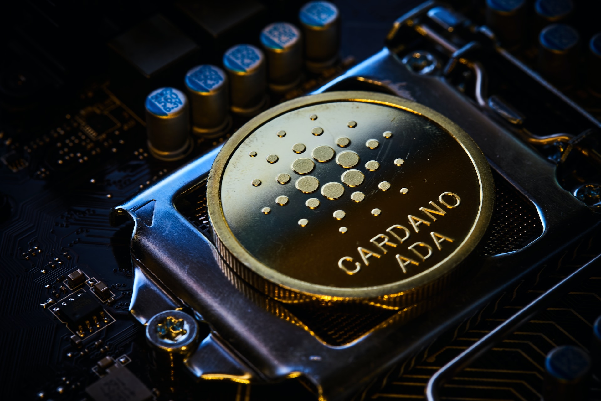 Cardano Whales swim against the current in crypto downtrend, Shiba Inu Competitor broke $7m in presale, are you ready for launch?